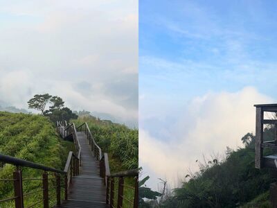 正值雲海旺季！嘉義5個必訪景點&美食
