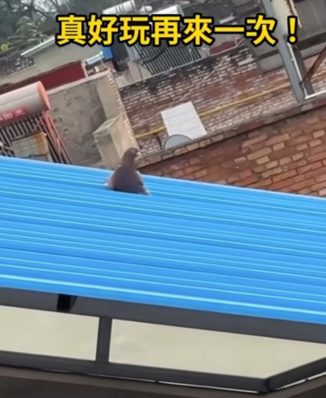 ▲▼             。（圖／）