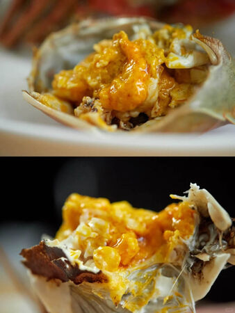 ▲▼6家人氣秋蟹餐廳推薦。（圖／ReadyGo提供）