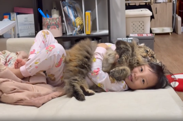 妹妹緊擁貓咪一臉幸福　主子無奈寵小奴才任她蹭臉