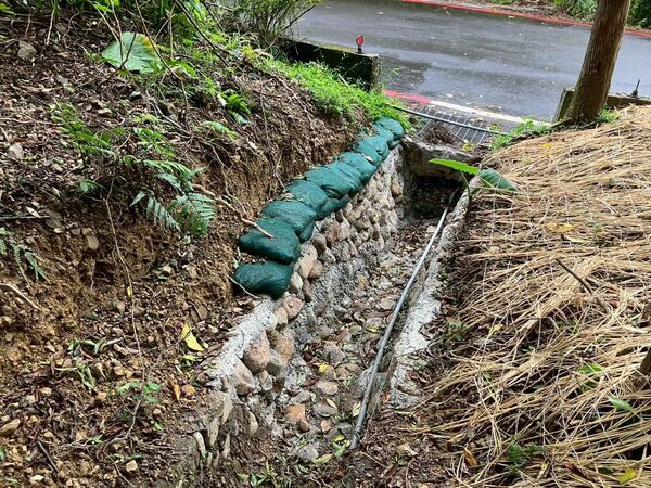 ▲新北攜手政大推動路殺防治。（圖／新北市農業局提供）