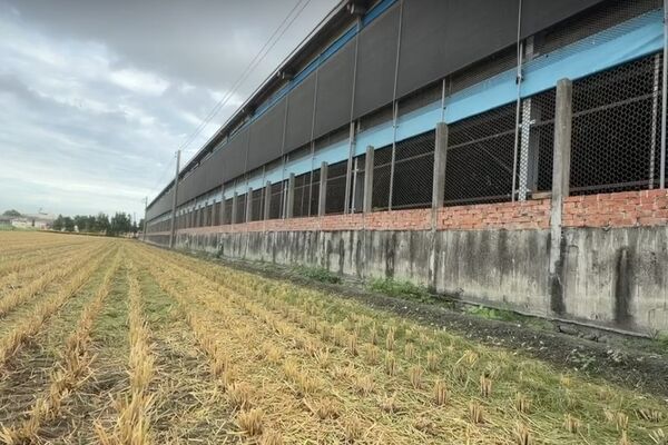 ▲文雅畜牧場。（圖／民眾提供）