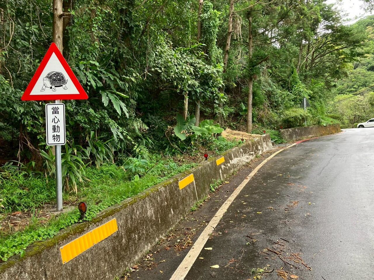 新北攜手政大推動路殺防治 10處生態廊道串聯友善棲地