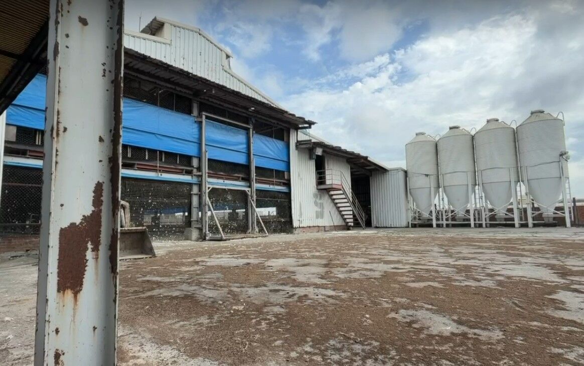 芬普尼毒蛋羅生門！外傳畜牧場「未用殺蟲劑」　檢方不證實