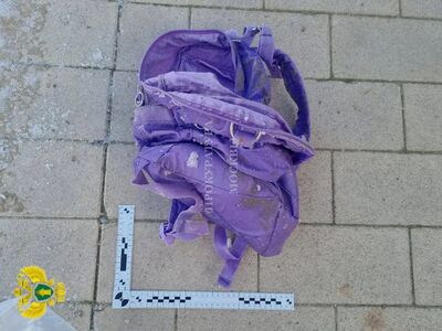 BBC記者爆是中國間諜！　疑「美人計」色誘高官換軍情機密