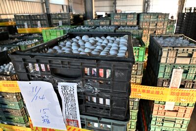 文雅畜牧場雞蛋含殺蟲劑！4.9萬雞隻面臨撲殺　動防所持續管控