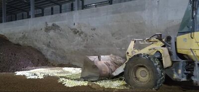 文雅畜牧場封存25萬顆毒蛋！警方全程「護送」...銷毀畫面曝