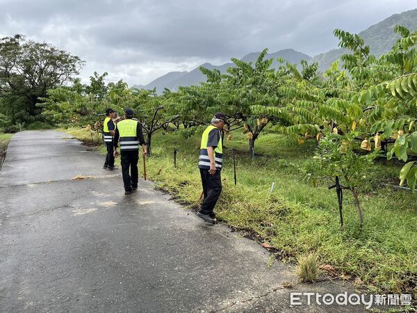 ▲台東成功分局啟動護果勤務守護農民心血。（圖／記者楊晨東翻攝）