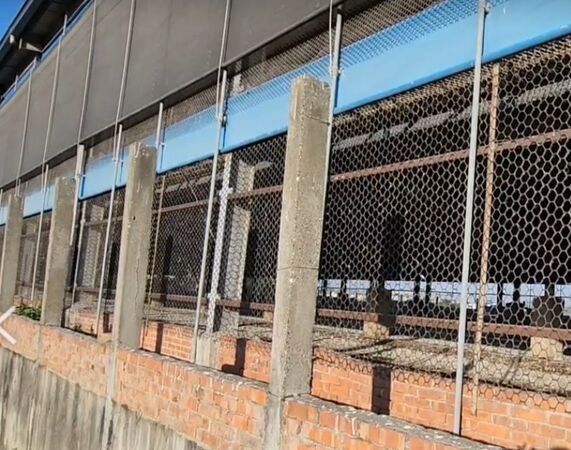 ▲彰化全面稽查蛋雞場。（資料圖／彰化縣政府提供）