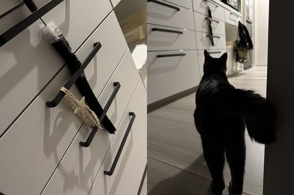 ▲。（圖／翻攝自X／@O_Hamuneki）