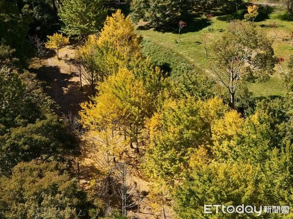 ▲武陵農場。（圖／武陵農場）