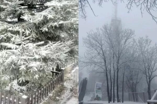 ▲湖北武漢下雪了。（圖／翻攝自微博）