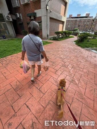 ▲。（圖／Threads@rod_fyl提供，請勿隨意翻拍，以免侵權。）