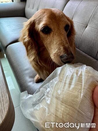 ▲。（圖／Threads@rod_fyl提供，請勿隨意翻拍，以免侵權。）