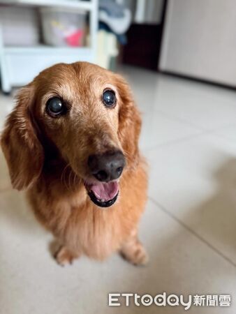 ▲。（圖／Threads@rod_fyl提供，請勿隨意翻拍，以免侵權。）