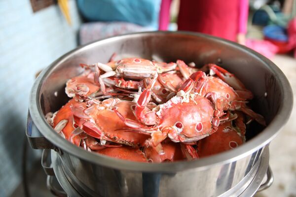 ▲野柳里步道,翡翠灣,當季海蟹料理。（圖／新北市觀旅局提供）