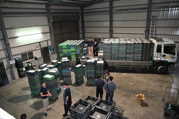 ▲文雅畜牧場25萬顆驗出含芬普尼超標全數銷毀。（圖／縣府提供）