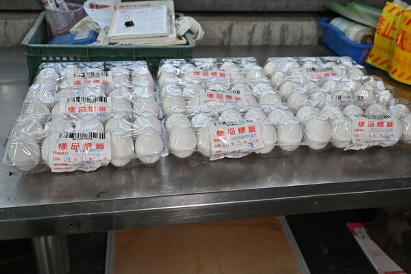 ▲文雅畜牧場25萬顆驗出含芬普尼超標全數銷毀。（圖／縣府提供）