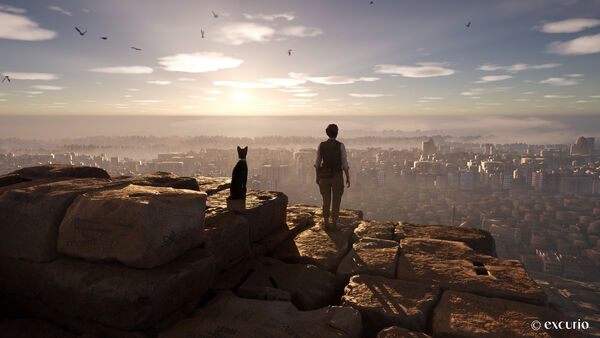 ▲▼奇美博物館VR體驗《消失的法老》。（圖／excurio提供）