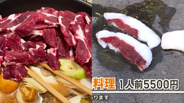 熊害頻傳日本人氣炸!獵人直接開「熊肉料理餐廳」 饕客坐滿狂讚