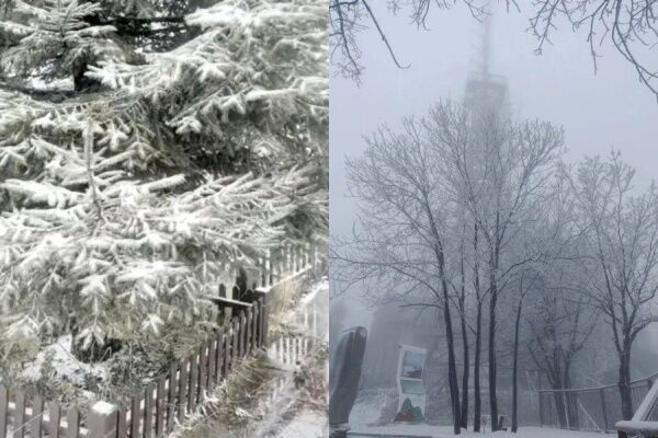 武漢迎今冬第一抹雪景！　下雪時間較去年提早23天