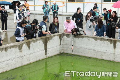 新壽別再拗！輝達本周帶投資意向書拜會蔣萬安　就是要T17、18蓋總部