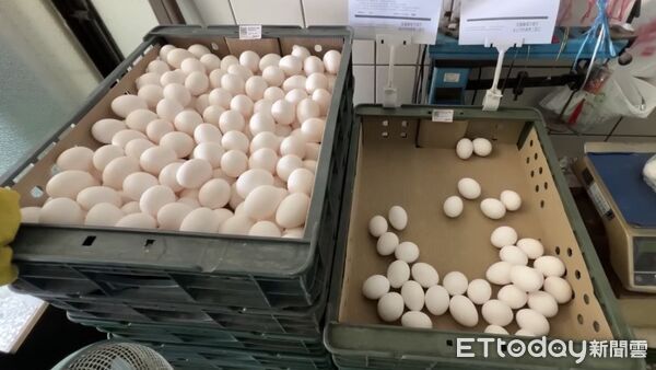 ▲業者認為進貨到芬普尼蛋，是彰化縣府的疏失。（圖／民眾提供）