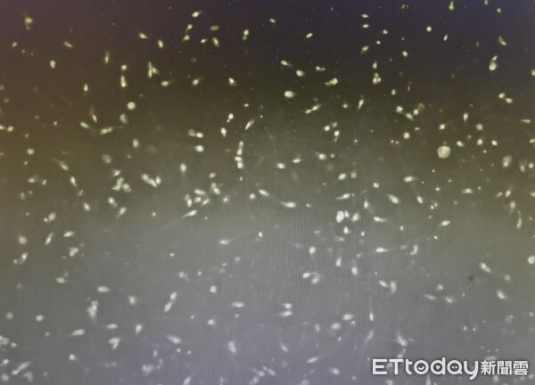 ▲精液,精蟲,精子,試管。（圖／記者游瓊華攝）