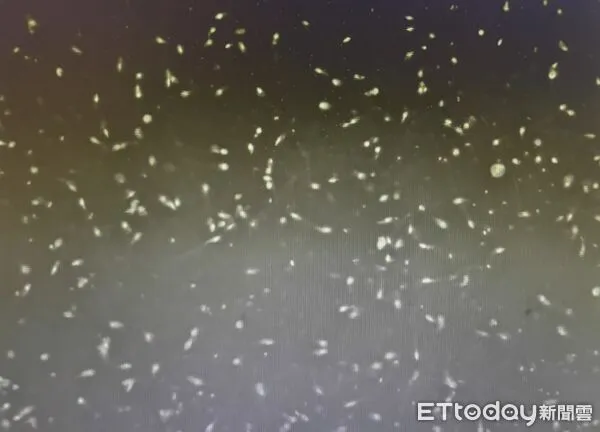 ▲精液,精蟲,精子,試管。（圖／記者游瓊華攝）