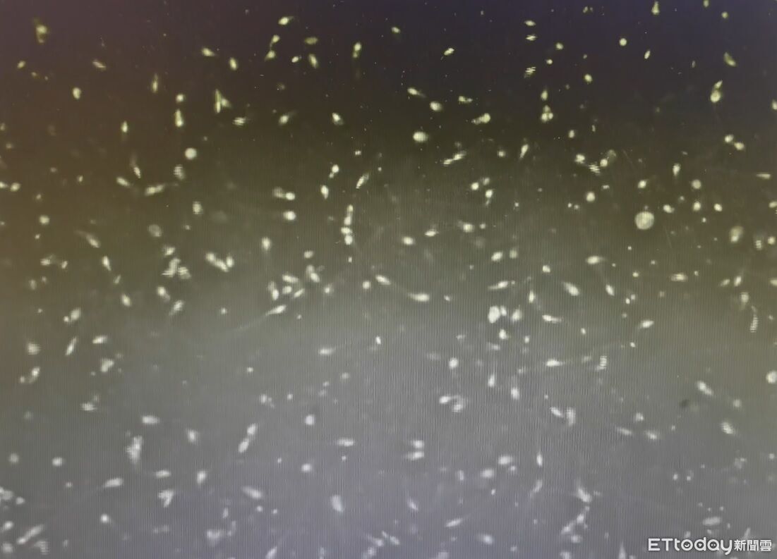 1天1杯珍奶精蟲「數量品質雙殺」　血糖飆6倍！醫：再喝恐沒命