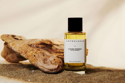 森林系質感香！8款「木質調香氛」推薦　讓人越聞越上癮