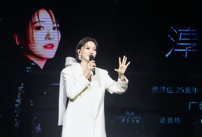 最美玉女歌手出道25週年開唱　一看台下哭了：我還在唱給你們聽
