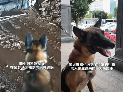 警犬尋獲失蹤20小時老翁　見「肉肉獎賞」高冷形象秒破功