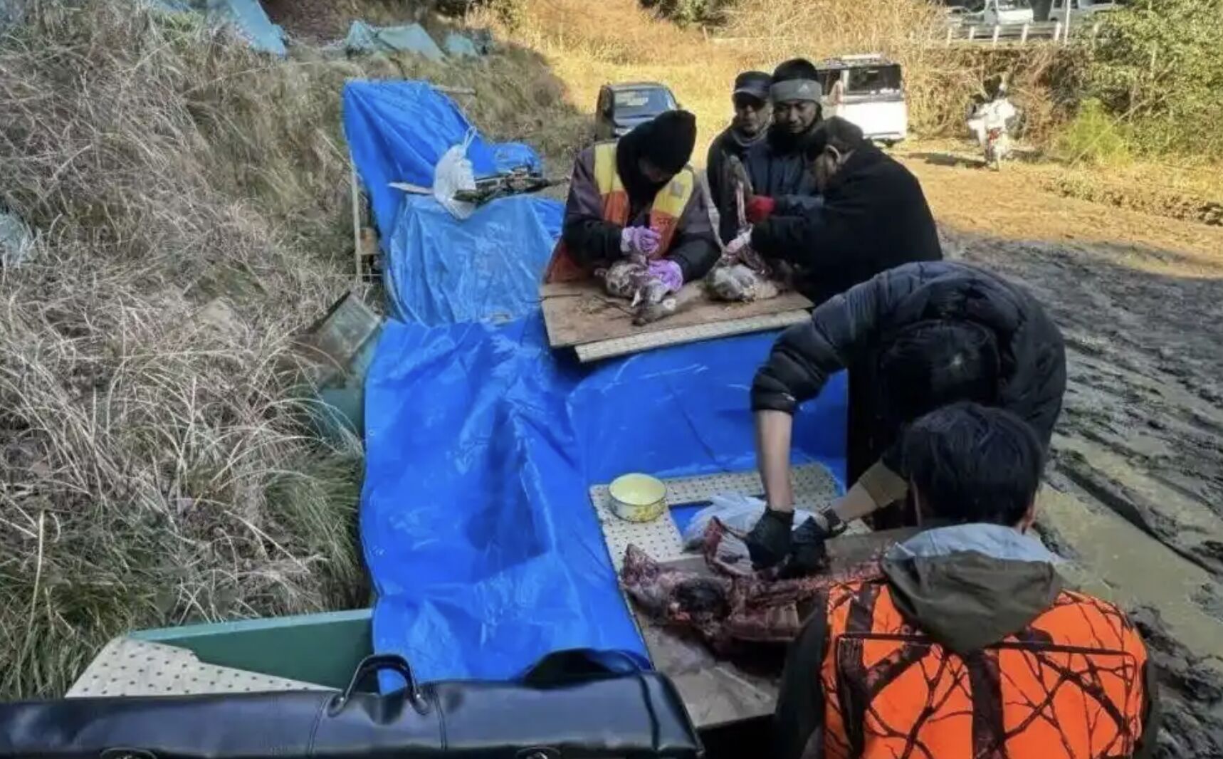 ▲留學生「道一」畢業後意外成為獵人，講述獵人與熊災的故事。（圖／翻攝每日人物社）