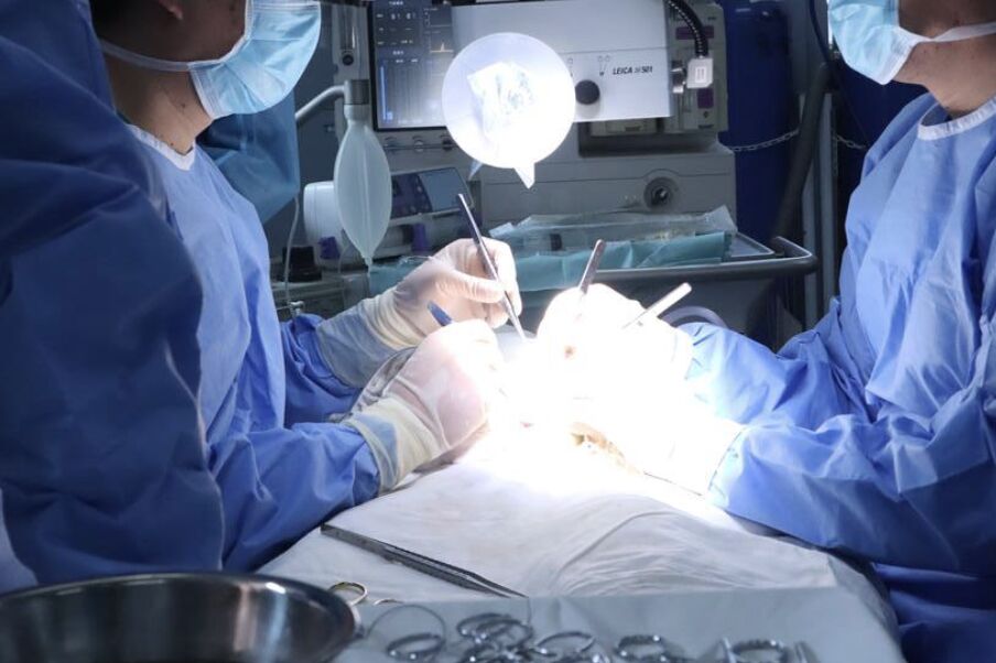 ▲陳剛研究團隊豬腎移植獼猴體內突破1年存活門檻。（圖／翻攝極目新聞）