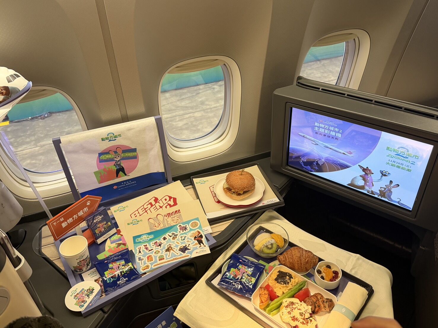 ▲▼華航動物方城市彩繪機正式亮相。（圖／記者高兆麟攝）