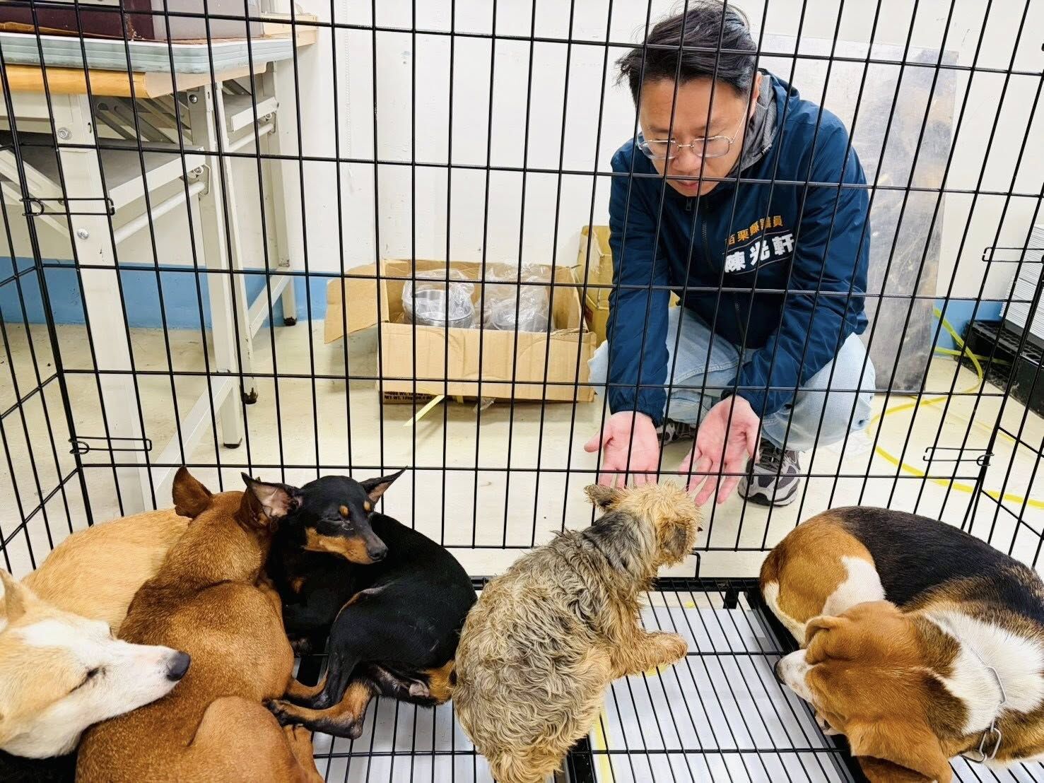 ▲「人人犬舍」第一批完成絕育　19日認養85隻毛孩！現場擠滿民眾。（圖／翻攝自Facebook／陳光軒・dpp苗栗縣議員）