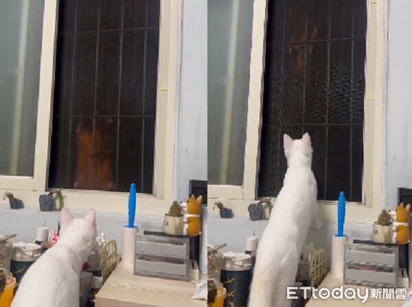 ▲。（圖／Threads@921amy__提供，請勿隨意翻拍，以免侵權）