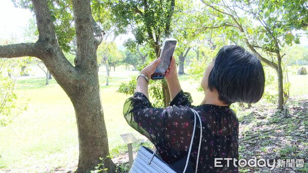 ▲卑南遺址公園時空穿越！XR帶你直擊史前台東生活▼             。（圖／記者鄭遠龍攝）