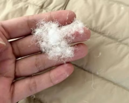 ▲鴨絨漲到180萬元。（示意圖／翻攝自微博）