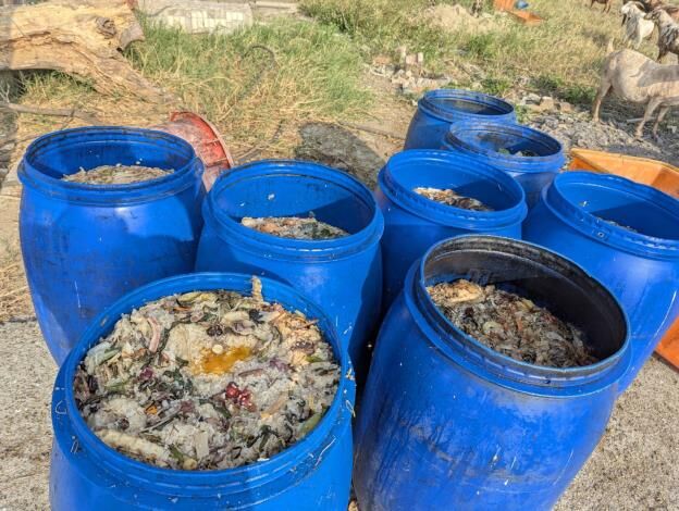 廚餘禁養豬「處理費」漲數十倍　餐飲恐喊漲