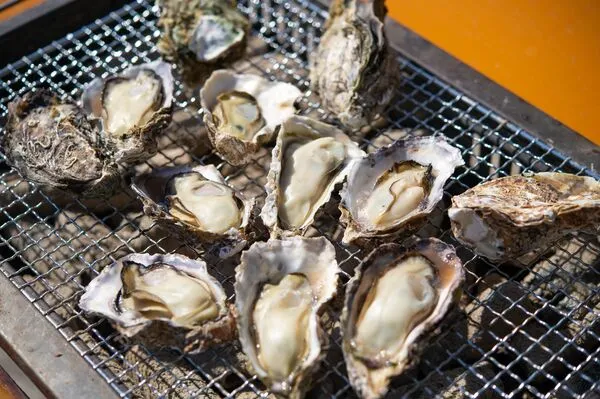 ▲▼廣島牡蠣。（圖／資料照／翻攝廣島縣觀光聯合會）
