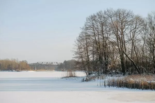 星期六（11月22日）將迎來二十四節氣中的「小雪」。（翻攝自pexels）
