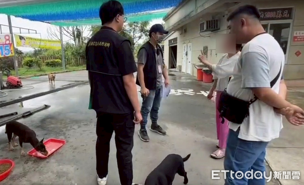 ▲吳姓婦人長期餵養流浪犬隻遭開罰8萬6千元。（圖／記者翁伊森翻攝）