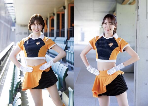 ▲讀賣巨人啦啦隊VENUS首度全員登台！　5大主題亮點、門票11月24開賣。（圖／聯合數位文創提供）