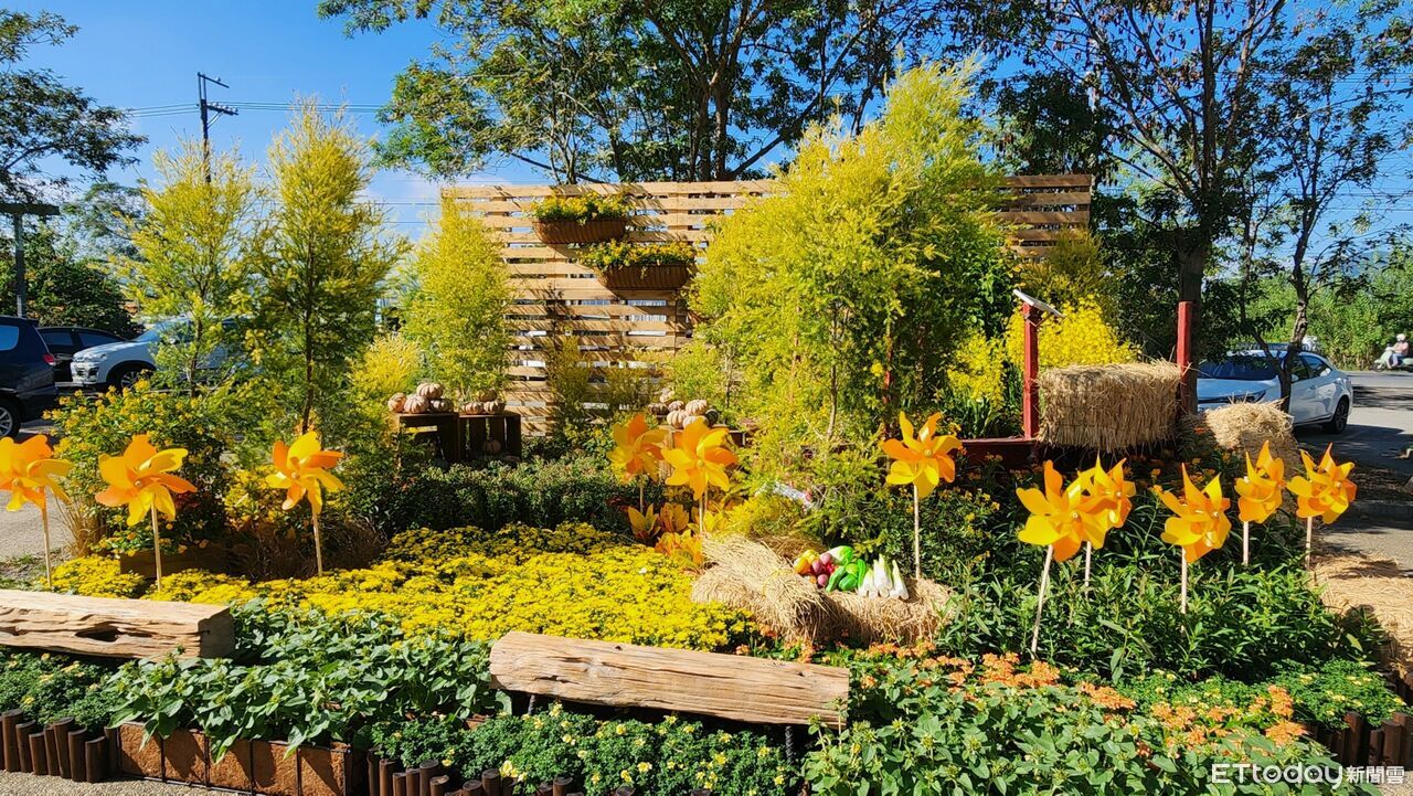 埔里花卉展暨南投花卉嘉年華　兩大主題展區11/22起同步綻放