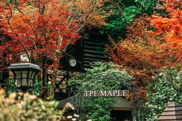 ▲▼2025賞楓特輯。（圖／ReadyGo提供）