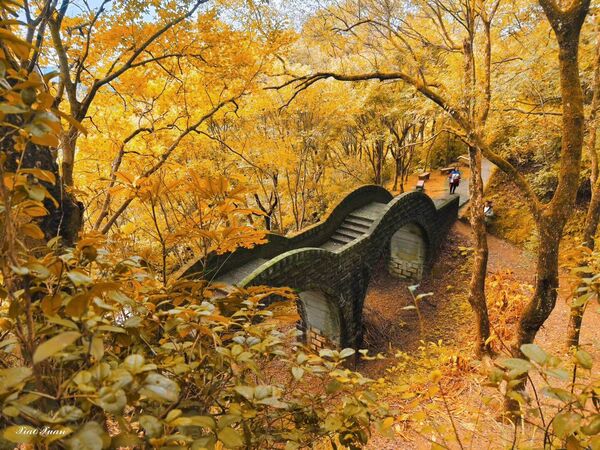 ▲▼2025賞楓特輯。（圖／ReadyGo提供）