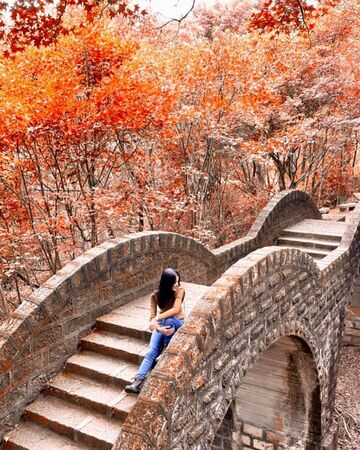 ▲▼2025賞楓特輯。（圖／ReadyGo提供）