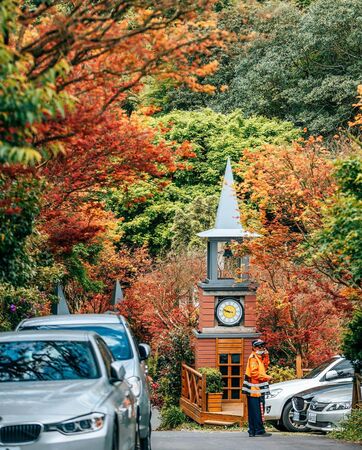 ▲▼2025賞楓特輯。（圖／ReadyGo提供）